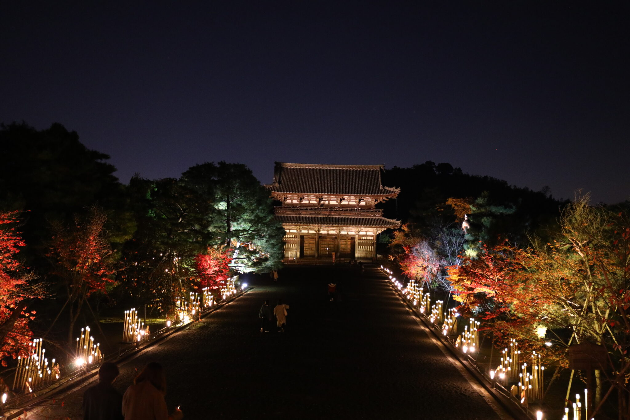 つながりひかる 仁和寺ライトアップ - 立命館大学新聞社|Ritsumeikan Univ. Press